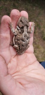 20230616_135319.jpg 20230616_135319.jpg