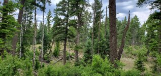 20230616_140739.jpg 20230616_140739.jpg