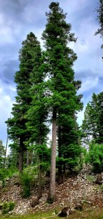 20230616_143308.jpg 20230616_143308.jpg