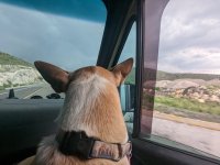 PXL_20230605_220242086.jpg PXL_20230605_220242086.jpg