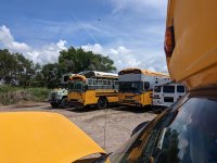 PXL_20230614_182018334.jpg PXL_20230614_182018334.jpg