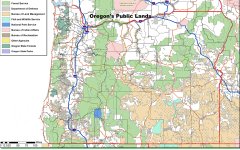 IMG_1291.jpeg IMG_1291.jpeg