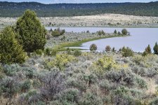 IMG_1292.jpeg IMG_1292.jpeg