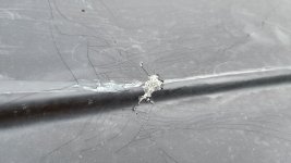 Weixin Image_20230630001648.jpg