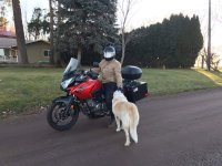 FB_IMG_1580963395999.jpg FB_IMG_1580963395999.jpg