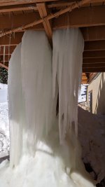 PXL_20230314_172039780_resize.jpg PXL_20230314_172039780_resize.jpg