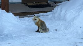 PXL_20230315_133717635_resize.jpg PXL_20230315_133717635_resize.jpg