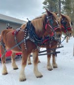 20230315_174835240_iOS.jpg 20230315_174835240_iOS.jpg