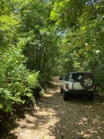 IMG_6045.jpeg IMG_6045.jpeg