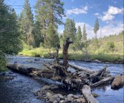 IMG_7411.jpeg IMG_7411.jpeg