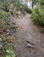 IMG_7412.jpeg IMG_7412.jpeg