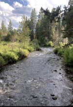 IMG_7417.jpeg IMG_7417.jpeg