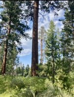 IMG_7419.jpeg IMG_7419.jpeg