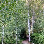 IMG_7421.jpeg IMG_7421.jpeg