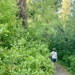 IMG_7422.jpeg IMG_7422.jpeg