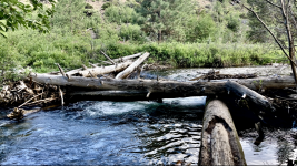 IMG_7423.png IMG_7423.png