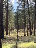 IMG_7425.jpeg IMG_7425.jpeg