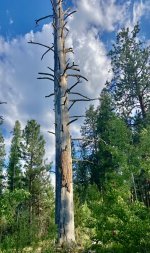 IMG_7424.jpeg IMG_7424.jpeg