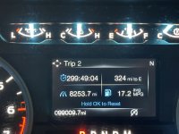 IMG_8269 Large.jpeg IMG_8269 Large.jpeg