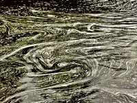 IMG_7497.jpeg IMG_7497.jpeg