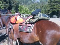 IMG00150-20110722-0926.jpg IMG00150-20110722-0926.jpg