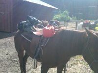 IMG00151-20110722-0926.jpg IMG00151-20110722-0926.jpg