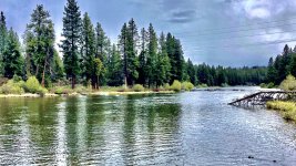 IMG_7590.jpeg IMG_7590.jpeg