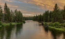 IMG_7651.jpeg IMG_7651.jpeg