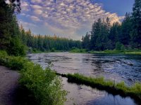 IMG_7632.jpeg IMG_7632.jpeg