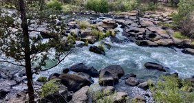 IMG_7636.jpeg IMG_7636.jpeg