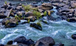 IMG_7637.jpeg IMG_7637.jpeg