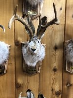 IMG_8500.JPG IMG_8500.JPG