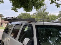 IMG_6282.jpeg IMG_6282.jpeg