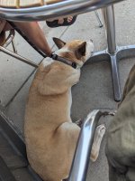 PXL_20230623_192452030.jpg PXL_20230623_192452030.jpg