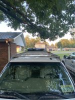 IMG_6308.jpeg IMG_6308.jpeg