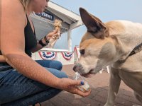 PXL_20230627_205859186.jpg PXL_20230627_205859186.jpg