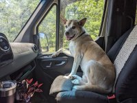 PXL_20230720_175023659.jpg PXL_20230720_175023659.jpg