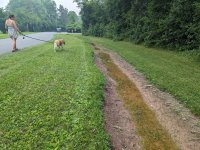 PXL_20230630_190559248.jpg PXL_20230630_190559248.jpg