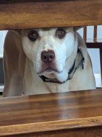 PXL_20230707_171226989.jpg PXL_20230707_171226989.jpg