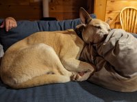 PXL_20230712_010734063.jpg PXL_20230712_010734063.jpg