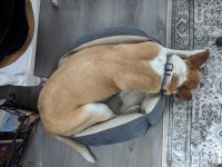 PXL_20230704_132624282.jpg PXL_20230704_132624282.jpg