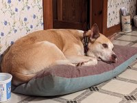 PXL_20230709_012025381.jpg PXL_20230709_012025381.jpg