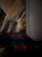 PXL_20230729_010747883.jpg PXL_20230729_010747883.jpg