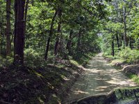 image000000(371).jpg image000000(371).jpg