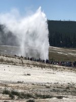 IMG_9135.JPG IMG_9135.JPG