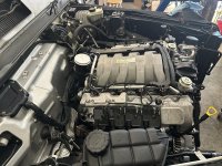 IMG_5494.JPG IMG_5494.JPG