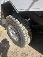 1691441887212.jpeg 1691441887212.jpeg