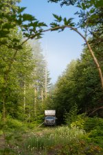 Foggy Morning at Overlanding Campsite in Coast Range.jpg