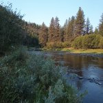 IMG_20230819_084846_300.jpg IMG_20230819_084846_300.jpg