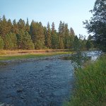 IMG_20230819_084848_900.jpg IMG_20230819_084848_900.jpg